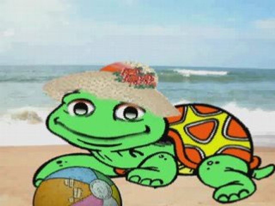 Tortue vacance final