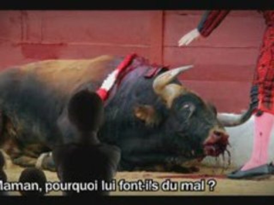 Spot cinéma FLAC / SPA