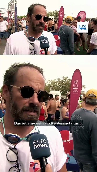 Donau-schwimmen in budapest: fast 1.000 sprangen in den fluss