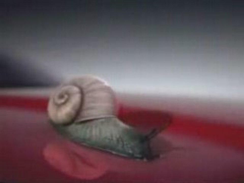 Lerêvedet..