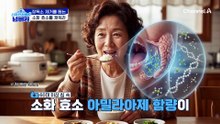 소화불량이 만든 장독소! 뱃살의 주범이 된다?