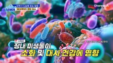 탄수화물 배출을 도와 다이어트를 돕는다? ★캡슐레이션 효소★