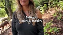 Tout plaquer pour aller élever des brebis au Salagou : Laura la bergère, elle, l’a fait