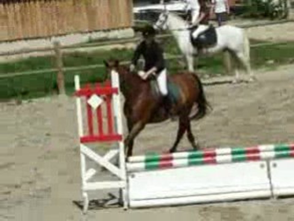 Moi et faro en concour