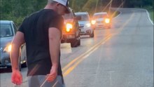 Your Laugh Will EXPLODE When He Helps Move a Turtle