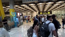 Manolo Falcó y Amparo Corsini regresan tras sus vacaciones: "Ha sido un buen verano"