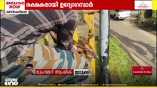 ഇടുക്കി വണ്ടിപ്പെരിയാറിൽ ഗേറ്റിനിടയിൽ കുടുങ്ങിയ കേഴമാനെ രക്ഷപെടുത്തി ഫോറസ്റ്റ് ഉദ്യോഗസ്ഥർ