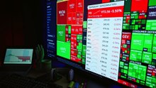 How do beginners choose stocks