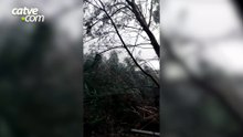 Temporal destelha casa e causa estragos no interior de Toledo