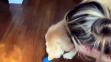 🐾 Smart Bouncing Ball for Dogs 🐾