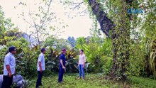 Ang muling pagtatagpo nina Diego at Bella (Full Episode 35)   Lolong