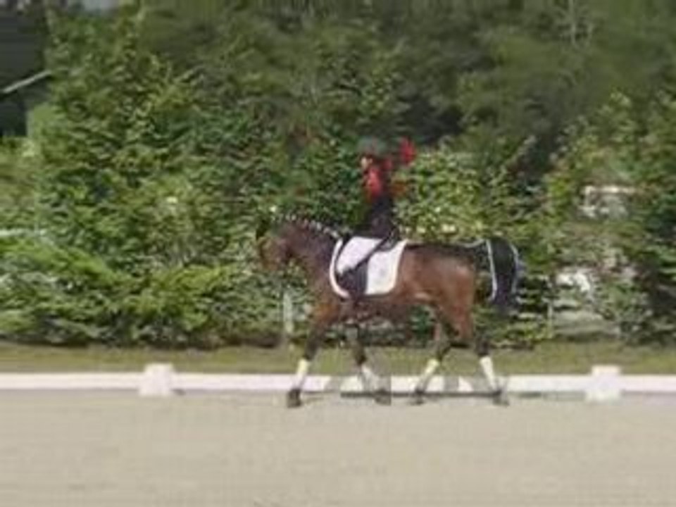 RLM Lamotte 1