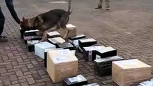 Drogas que seriam levadas para centro de distribuição de compras em Cascavel são apreendidas