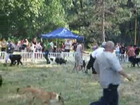 Ring d'honneur pour Aramis à Ventabren