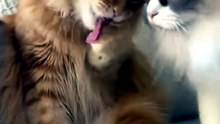 My food is GONE!!