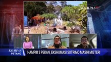 Misteri Kematian Sutrimo, Kapan Hasil Ekshumasi Diungkap? Ini Kata Kuasa Hukum dan Ito Sumardi