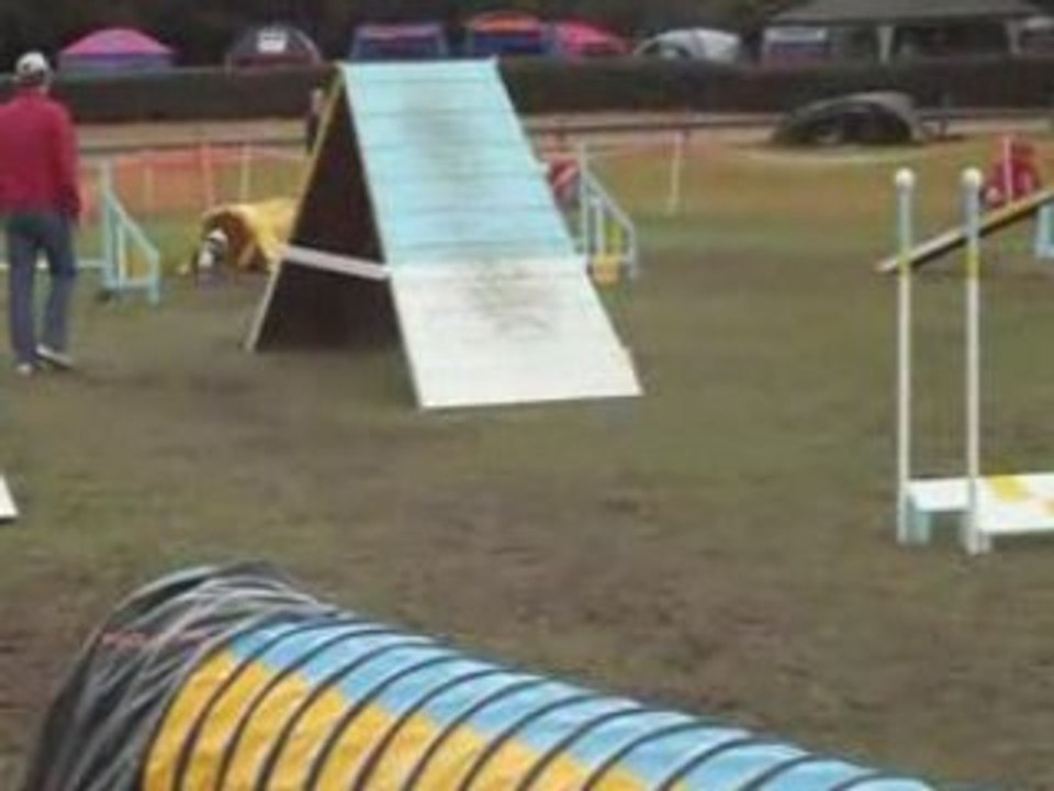 Agility ind verylee