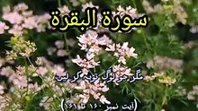 Surah Al-Baqarah Ayat 160-161 (Part 113) | Except For Those Who Repent And Correct Themselves | Allah's Infinite Mercy