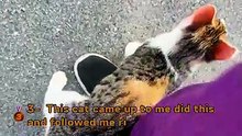 Ranking bests (NotMyCat)