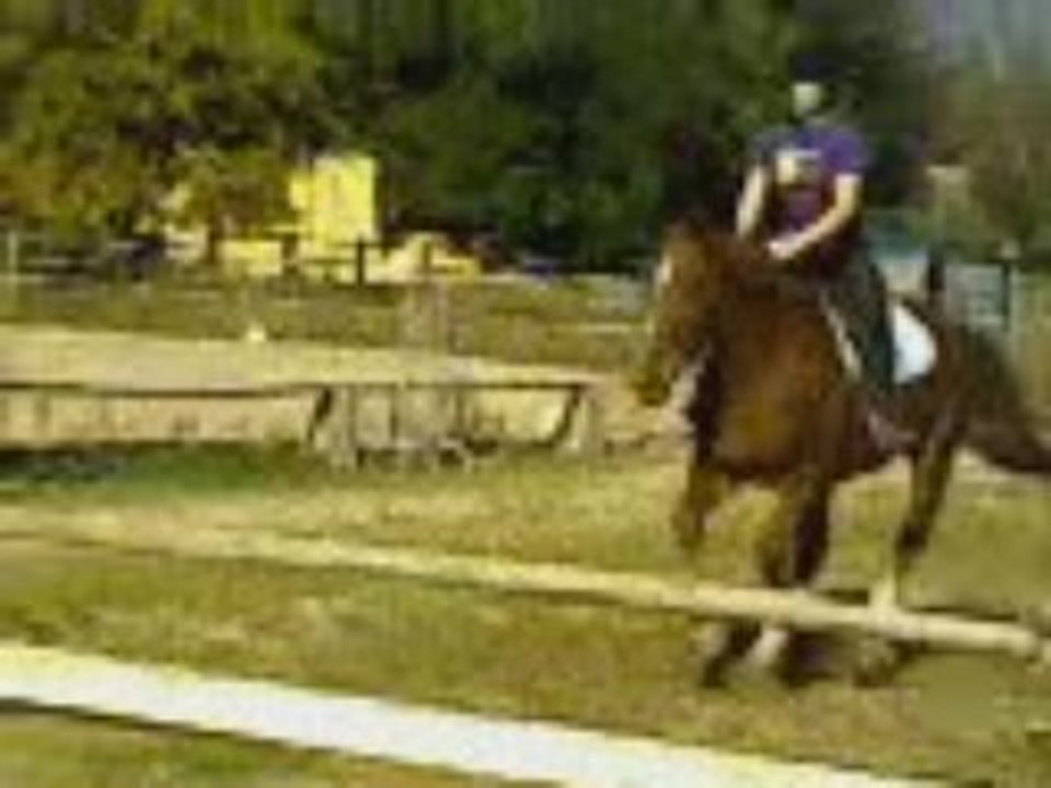 camille et alpha cso 2