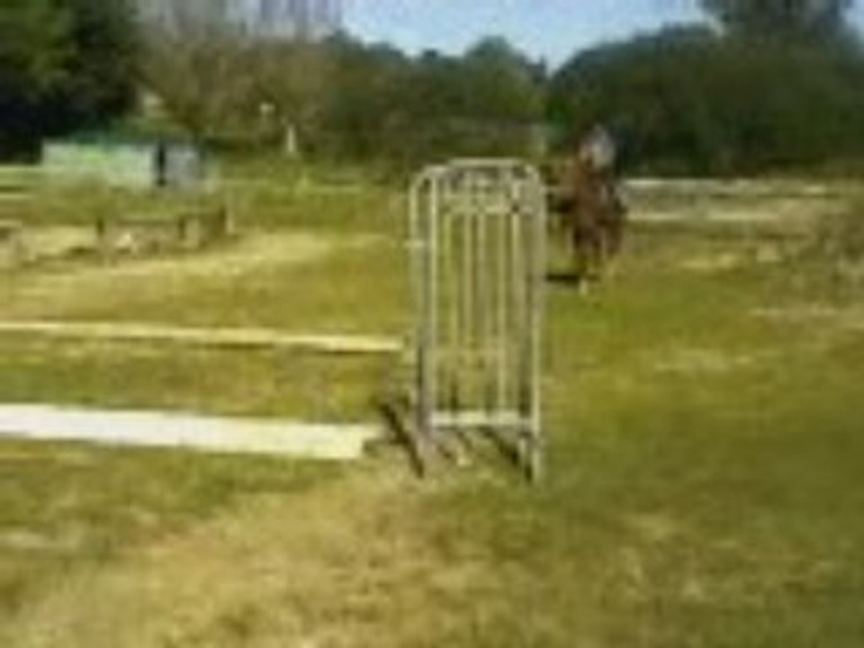 camille et alpha cso 3