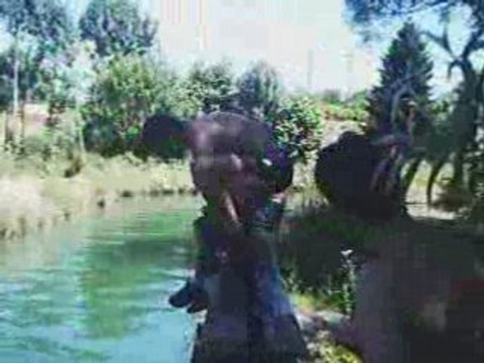 session a louzoum