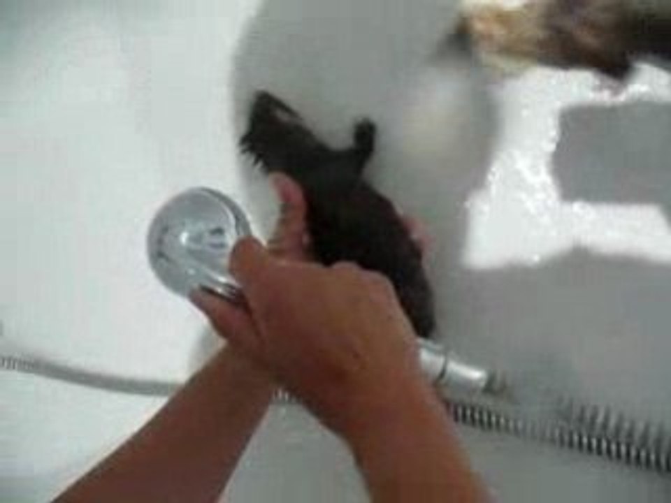 1er bain Tsuki et Kiryu.MOV