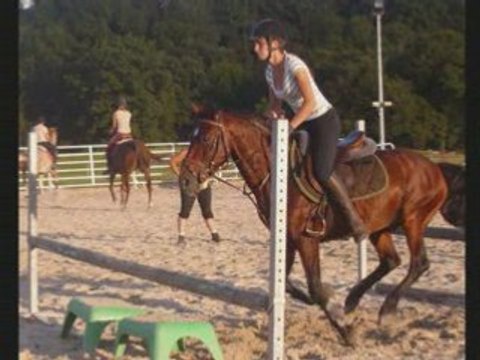 Saut de puces ac mon ptiot poney!!