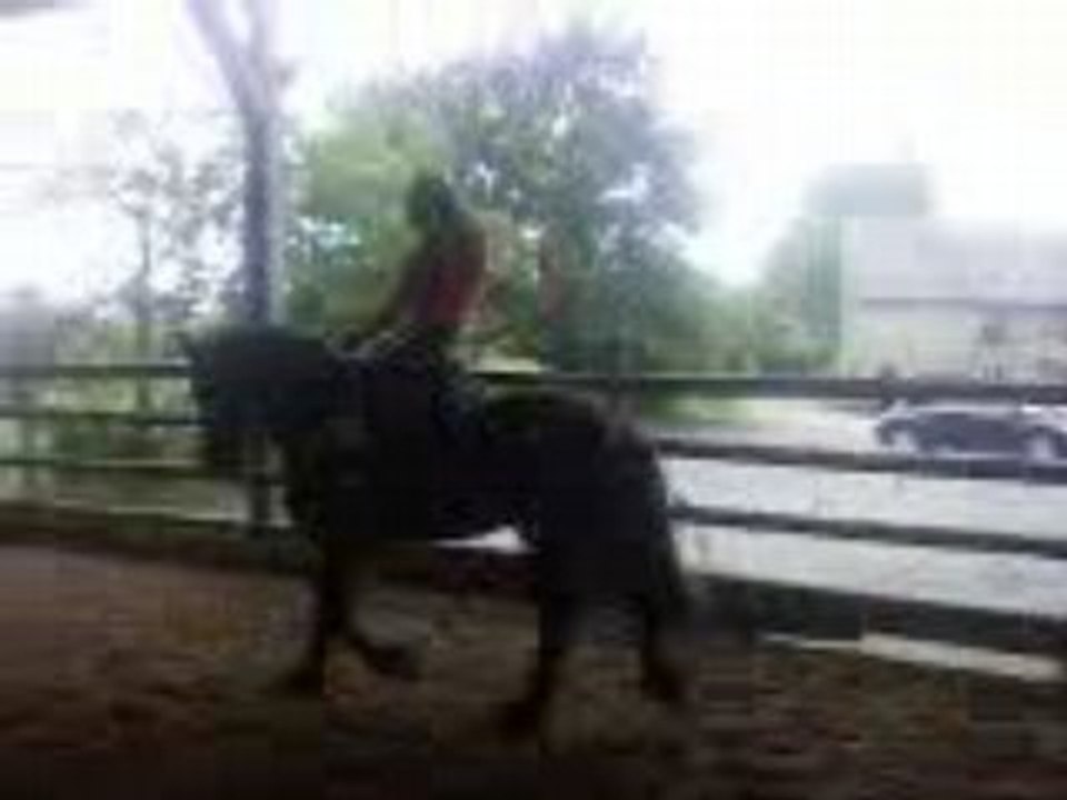 moi sur frerot o trot assis miracle