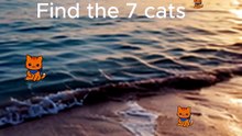 find the cats