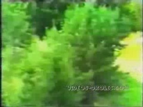 spectaculaires crashs