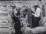 Logging Industry Film: Forestry & Forest Industries (1946)