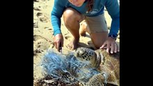 Top 10 Animal Rescues of the Week That Restore Your Faith in Humanity