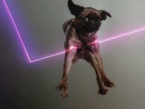 Vitalic | Poney (part 1) (aka Birds) | Pleix