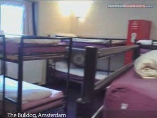 The Bulldog, Amsterdam, Netherlands