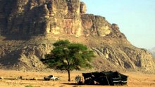 قصة من البادية السعودية.. موقف لا يُنسى