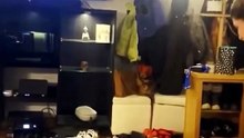 ¿Por qué es peligroso jugar en VR en un cuarto pequeño?