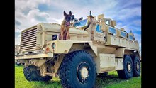 10th Mountain Division K-9 Heroes: Unseen Courage & Unbreakable Bonds