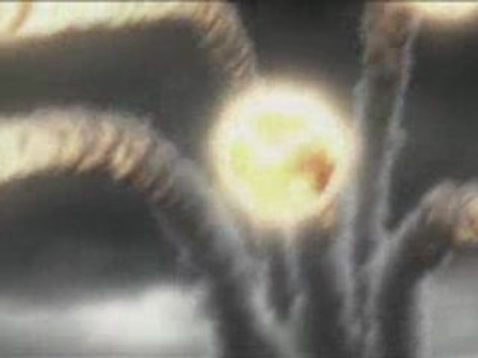 Lineage_II_interlude_cgi_pt._1