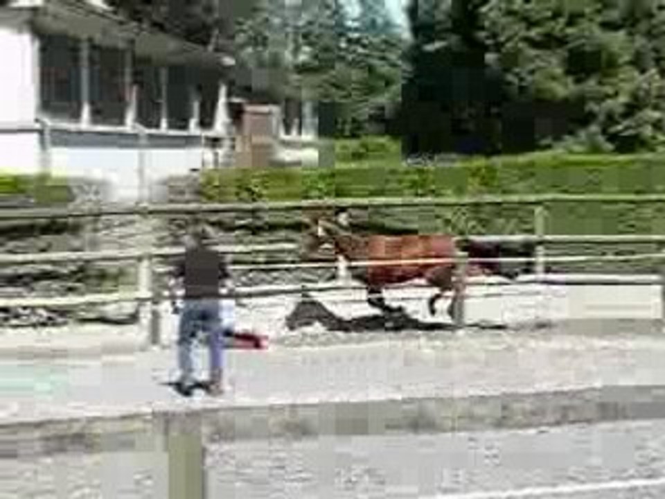 razi saut regional