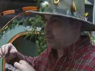 QSTA and ZVEX pedals