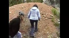 Punishment