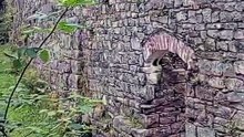 Bonawe  furnace Lade and wheel pit