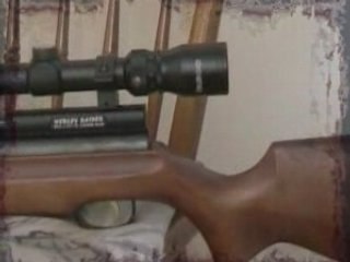 Evde 10 yard webley raider single tüfek atışı.