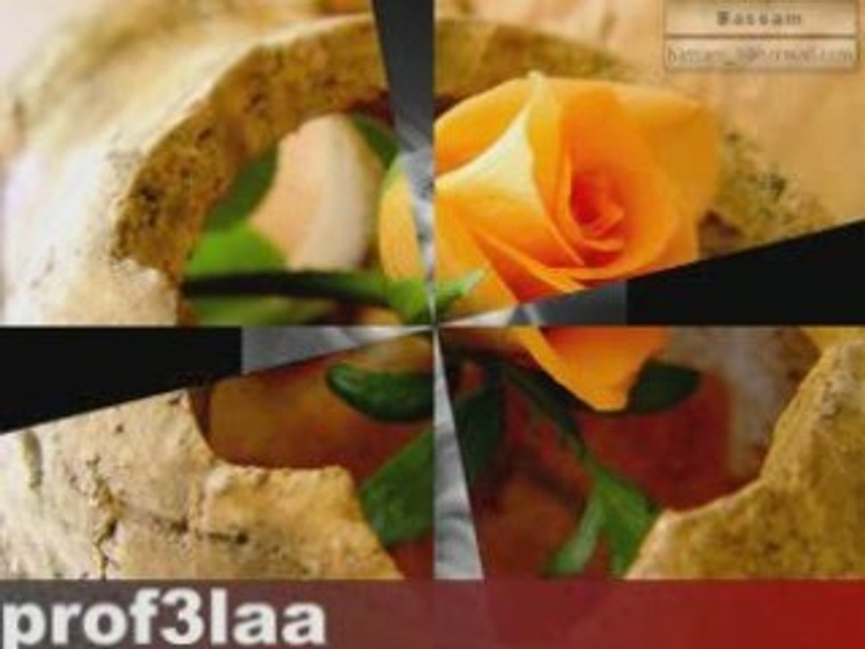 تامر حسنى ايام زمان  pyProf3laa