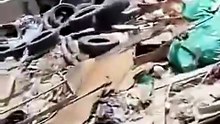 🇩🇿🚨 Algeria | Around 500 discarded tires reportedly found in a forest near Algiers.  According to a citizen’s report, approximately 500 tires were discovered dumped in a forested area between Ouled Fayet and Souidania, in Algiers.