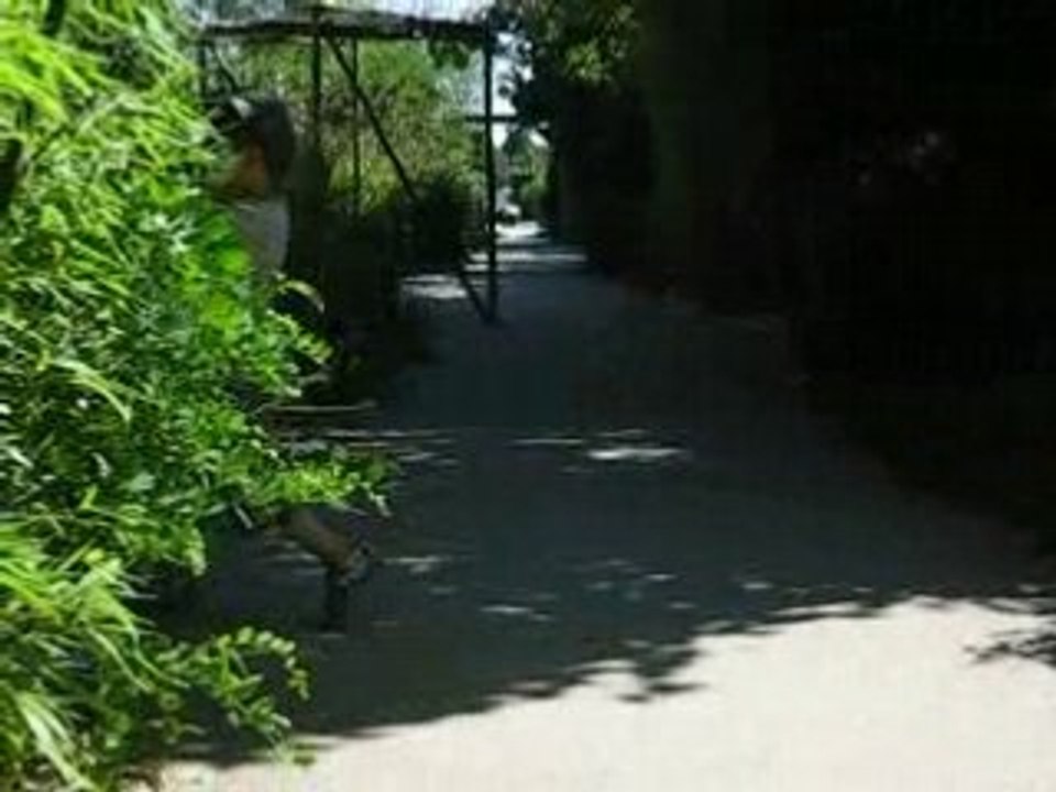 rigolade zoo
