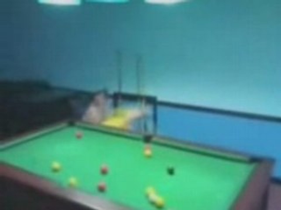 Besoffen-billard-spielen