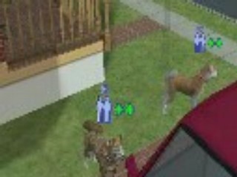 Jeu entre Vokoa et Kitsune