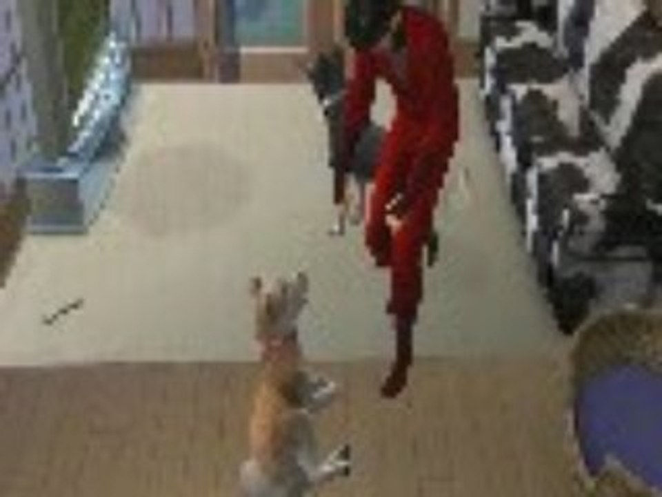 Gratte le ventre de kitsu